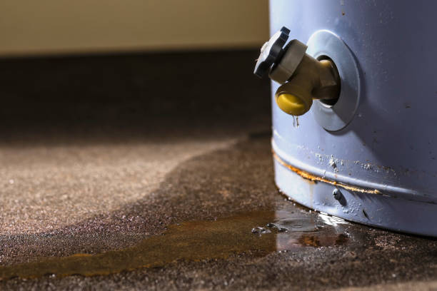 Best Local water damage restoration  in Murray, KY
