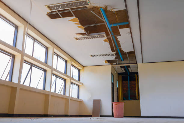 Best Flooded house restoration  in Murray, KY