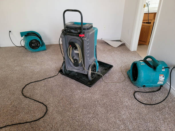 Carpet water damage restoration in KY