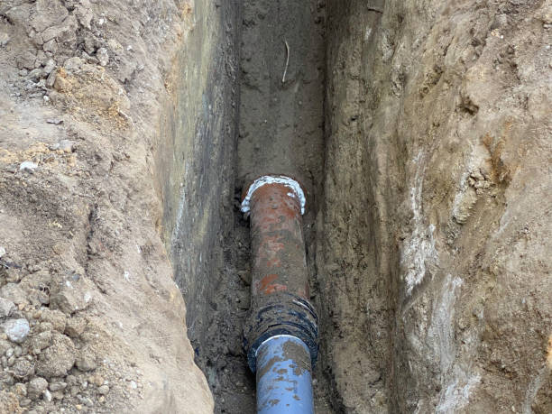 Best Basement water damage restoration  in Murray, KY