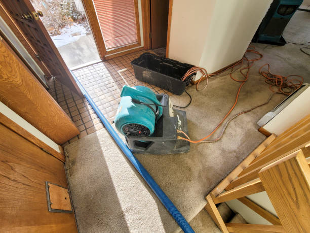 Best Water damage restoration insurance claims  in Murray, KY