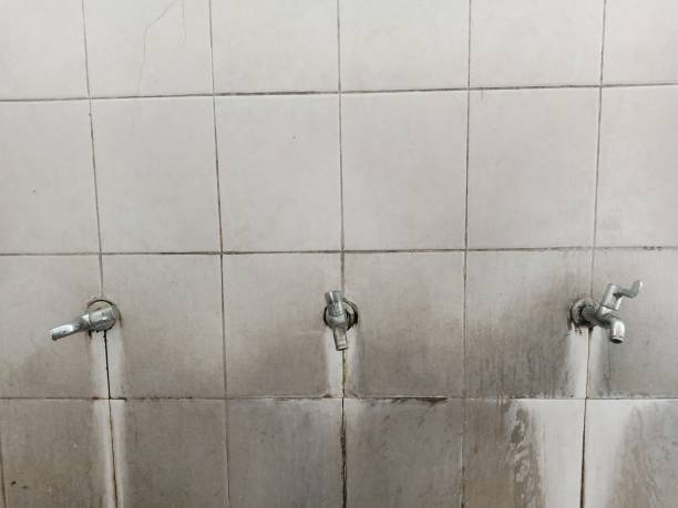 Best Flood damage cleanup  in Murray, KY