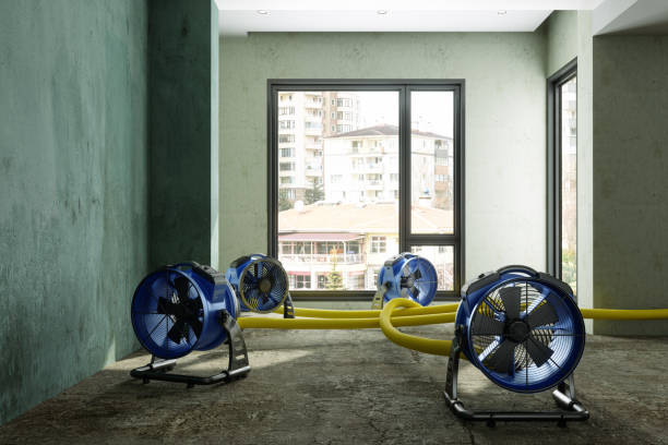 Best Local water damage restoration  in Murray, KY
